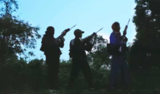 naxal movement